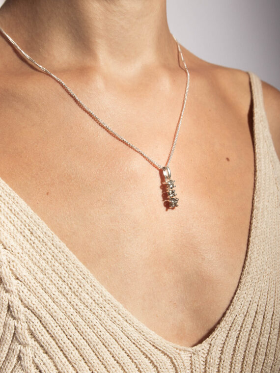 PRODUCTO_COLLAR ORION PIRITA